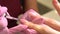 Female Hands Manicure Close-Up View. Aged Lady Hand At Manicure pink Procedure
