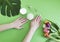 Female hands manicure, cream, tulip flower on a green background