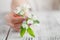 Female hands with manicure holding an apple tree flower. Apple or sakura spring blossom.