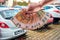 female hands with manicure holding a large amount of euro banknotes on the background of cars