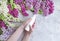 Female hands manicure lotion product, natural purity healthy cosmetic cream, lilac flower on gray concrete background