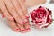 Female Hands With Nail Varnish Near The Rose