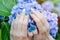 Female hands with a nice manicure on a blue flower