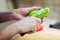 Female hands peel and cut fresh organic avocado with knife in kitchen. Red bell pepper on background.