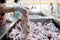 Female hands in plastic gloves choose chicken parts in the supermarket