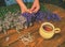 Female hands prepare stalk lavender for amazing smells bunch blossoms