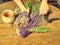 Female hands prepare stalk lavender for amazing smells bunch blossoms