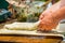 Female hands preparing the greek traditional dish Spanakopita & x28;Greek spinach pie& x29;, close-up