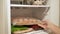 Female Hands Puts Ready-Made Semi-Finished Meat Products in Freezer. Close up