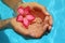 Female hands with red frangipani over blue ground