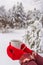 Female hands in red knitted gloves holding tea or coffee mug against winter landscape with snow covered forest in cloudy day. Cozy