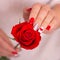 Female hands with romantic manicure nails, hearts design, holding red rose