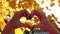 Female hands in the shape of a heart on a background of yellow autumn leaves