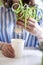 Female hands transplant variegated monstera with root putting into plastic pot on table closeup