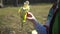 Female hands twists and shakes green banana on picnic in forest