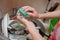 Female hands wash dishes at home in the sink