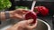 Female hands washing apple under water in sink. Washing the red apples in woman hands, slow motion