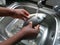 Female hands washing raw sea bream in a sink