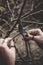 Female hands weaving a macrame braid on a tree