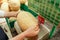 Female hands weigh melon on scales in supermarket.