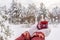 Female hands in white knitted mittens with tea or coffee cup against winter landscape with snow covered forest in cloudy day. Cozy