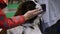 Female hands wiping the saliva of beautiful Bernese Mountain dog, purebred pet