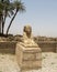 Female-headed sphinx on the Avenue of Sphinxes between the Karnak Temple complex and Luxor Temple in Egypt.