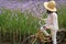 Female with her bicycle enjoy beautiful pastel purple flower field