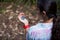 Female hiker looking at compass