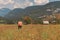 Female hiker is trekking in alpine countryside landscape in autumn