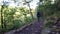 Female Hiker walking through forest