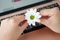 Female hold blooming daisy flower over open laptop