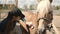 Female Horse Owner Brushing Off Dust From Her Flaxen Horseback Using A Horse Brush