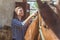Female Horse Owner Brushing The Shiny Horse Coat Of A Dark Brown Horse