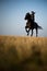 Female horse rider riding outdoors