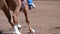 Female Horseback Rider Competing In A Barrel Racing Event At An Australian Rodeo