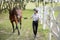 Female horseman go on lawn with Thoroughbred horse
