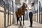 Female horseman with Thoroughbred horse in stable