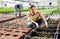 Female horticulturist maintaining garden in hothouse