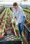 Female horticulturist maintaining garden in hothouse