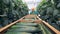 Female hothouse worker is harvesting mature cucumbers. Healthy products production concept.