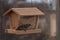 A female House Finch having a meal in New Mexico.