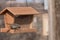 A female House Finch having a meal in New Mexico.