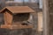 A female House Finch having a meal in southwest New Mexico.