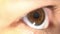 Female human eye extreme close up eye lashes opening and closing scared expression blinking anatomy