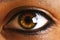 Female human green brown brown eye with eyelashes.