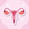 Female human reproductive system biology scheme