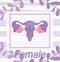 Female human reproductive system, floral nature biology anatomy