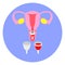 Female internal organ, uterus with menstrual cup.