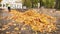 Female janitor in uniform sweeping fallen leaves in park, low-paid job, crisis